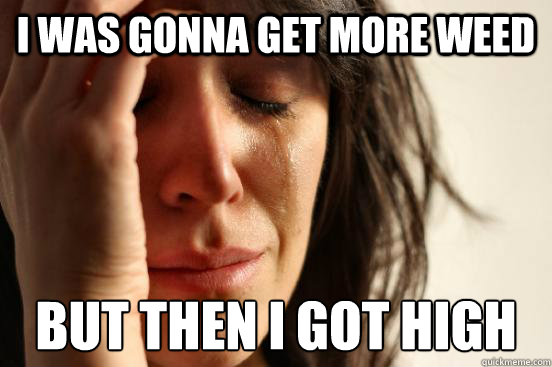 I was gonna get more weed but then i got high  First World Problems