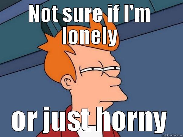 NOT SURE IF I'M LONELY OR JUST HORNY Futurama Fry