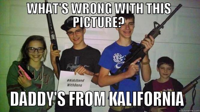 WHAT'S WRONG WITH THIS PICTURE? DADDY'S FROM KALIFORNIA  Misc