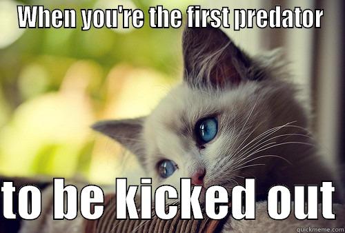 WHEN YOU'RE THE FIRST PREDATOR  TO BE KICKED OUT First World Problems Cat