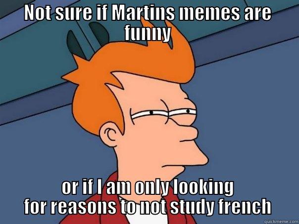 NOT SURE IF MARTINS MEMES ARE FUNNY OR IF I AM ONLY LOOKING FOR REASONS TO NOT STUDY FRENCH Futurama Fry