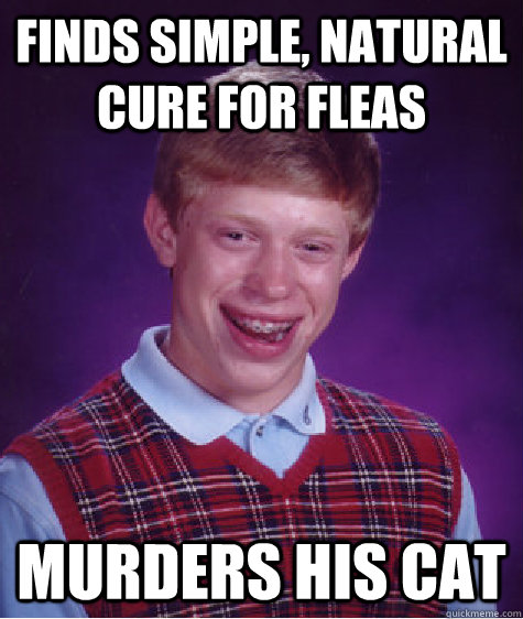 Finds Simple, natural cure for fleas murders his cat  Bad Luck Brian