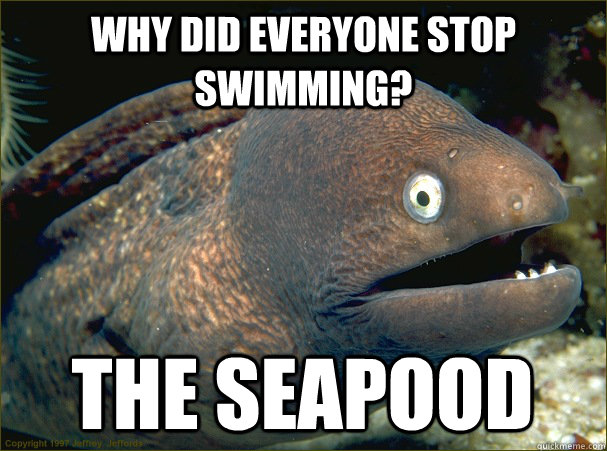 why did everyone stop swimming? the seapood  Bad Joke Eel