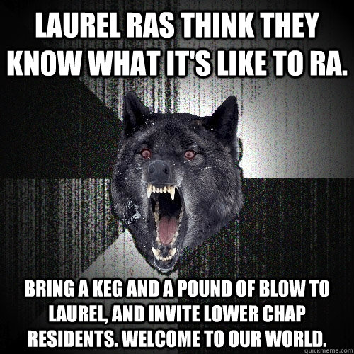 Laurel RAs think they know what it's like to RA. Bring a keg and a pound of blow to laurel, and invite lower chap residents. Welcome to our world.  Insanity Wolf