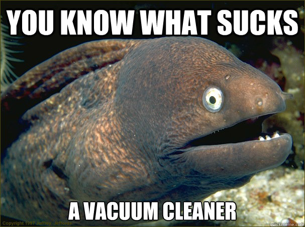 You know what sucks a vacuum cleaner  Bad Joke Eel