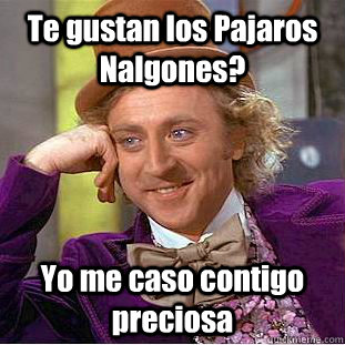 Te gustan los Pajaros Nalgones? Yo me caso contigo preciosa  Creepy Wonka