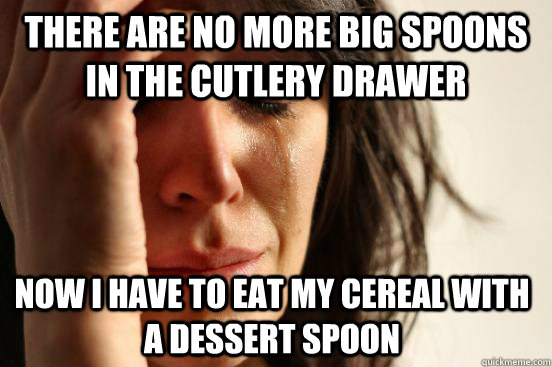 There are no more big spoons in the cutlery drawer Now I have to eat my cereal with a dessert spoon - There are no more big spoons in the cutlery drawer Now I have to eat my cereal with a dessert spoon  First World Problems