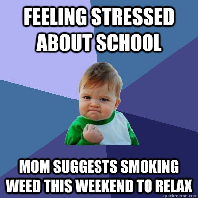 Feeling stressed about school mom suggests smoking weed this weekend to relax  Success Kid