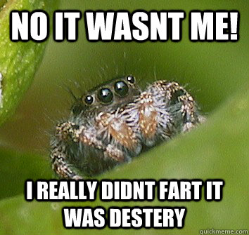 No it wasnt me! I really didnt fart it was Destery  Misunderstood Spider