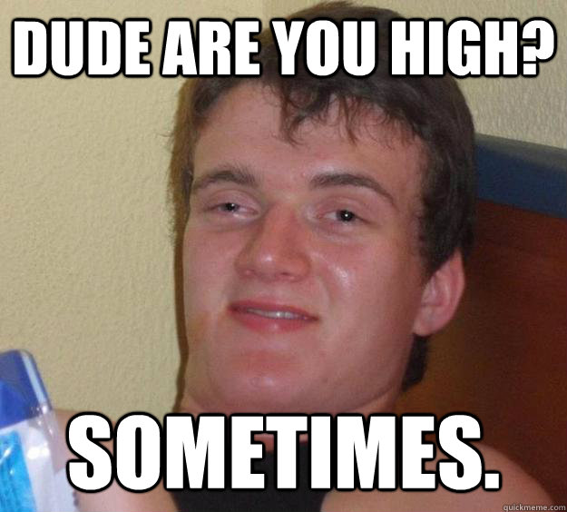 Dude are you high? Sometimes. - Dude are you high? Sometimes.  10 Guy