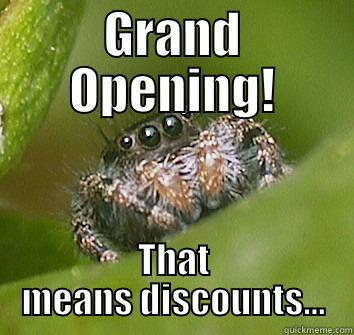 GRAND OPENING! THAT MEANS DISCOUNTS... Misunderstood Spider