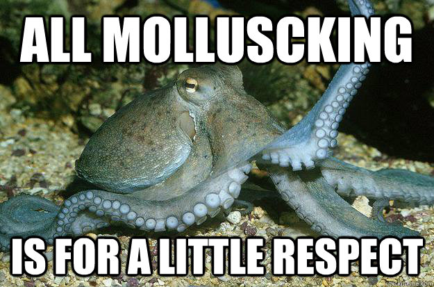 All Molluscking Is for a little respect - All Molluscking Is for a little respect  Misc