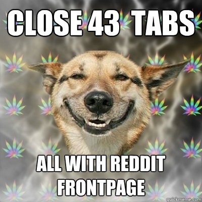 Close 43  tabs All with Reddit frontpage  Stoner Dog