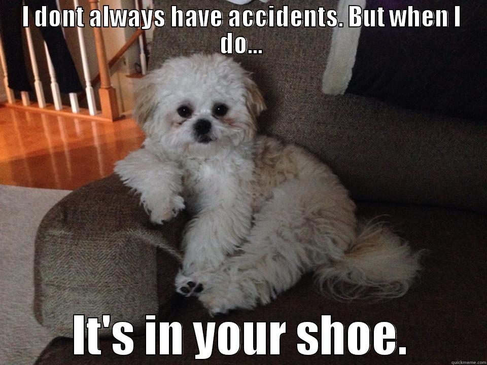 I DONT ALWAYS HAVE ACCIDENTS. BUT WHEN I DO... IT'S IN YOUR SHOE. Misc