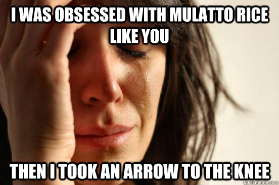 i was obsessed with mulatto rice like you  then i took an arrow to the knee - i was obsessed with mulatto rice like you  then i took an arrow to the knee  FirstWorldProblems