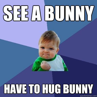 see a bunny Have to hug bunny - see a bunny Have to hug bunny  Success Kid