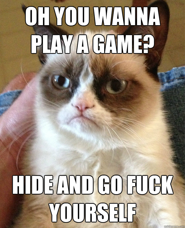 Oh you wanna play a game? Hide and go Fuck yourself  Grumpy Cat