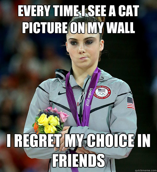 Every time I see a cat picture on my wall i regret my choice in friends  McKayla Not Impressed