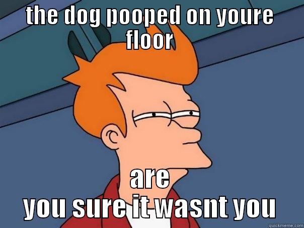 THE DOG POOPED ON YOURE FLOOR ARE YOU SURE IT WASNT YOU Futurama Fry