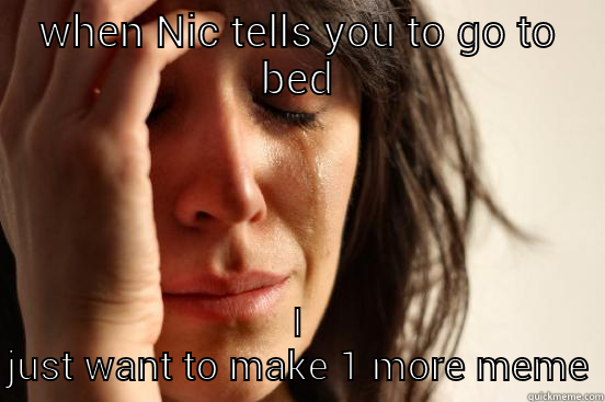 WHEN NIC TELLS YOU TO GO TO BED I JUST WANT TO MAKE 1 MORE MEME First World Problems