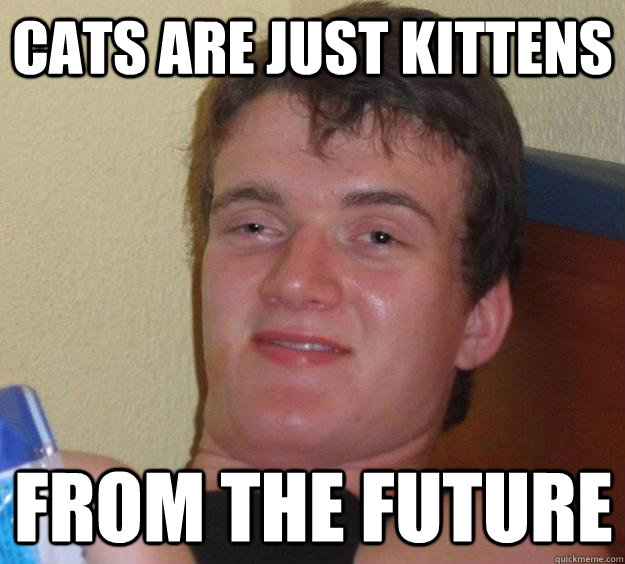 cats are just kittens from the future  10 Guy