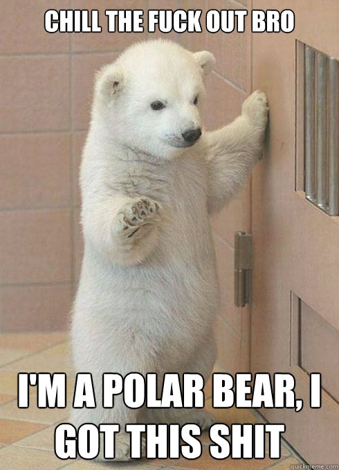 Chill the fuck out bro I'm a polar bear, I got this shit  Chill Out Polar BEar