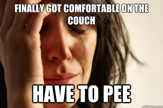 Finally got comfortable on the couch Have to pee  First World Problems