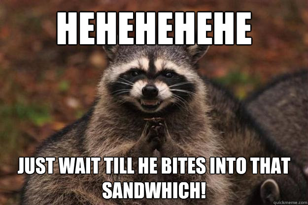 hehehehehe just wait till he bites into that sandwhich! - hehehehehe just wait till he bites into that sandwhich!  Evil Plotting Raccoon