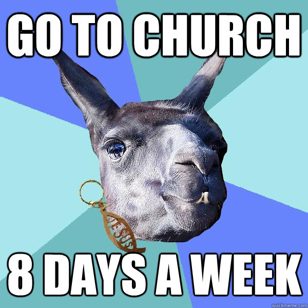 Go to church 8 days a week - Go to church 8 days a week  Christian Mama Llama