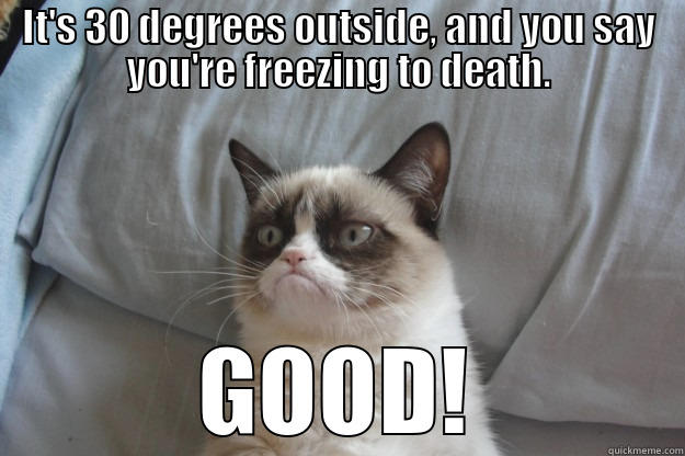 A Grumpy cold day! - IT'S 30 DEGREES OUTSIDE, AND YOU SAY YOU'RE FREEZING TO DEATH. GOOD! Grumpy Cat