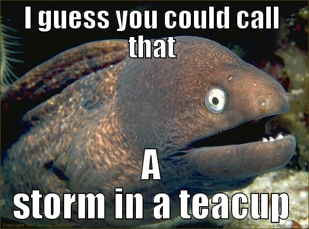 I GUESS YOU COULD CALL THAT A STORM IN A TEACUP Bad Joke Eel