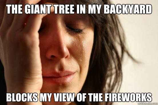 The giant tree in my backyard blocks my view of the fireworks   First World Problems