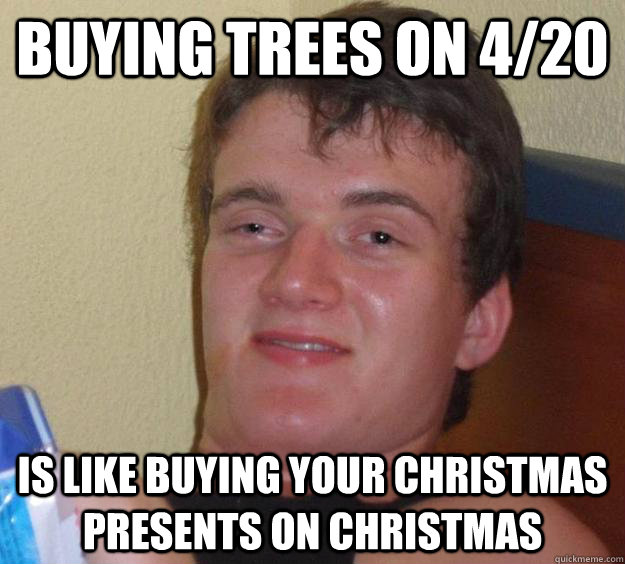 Buying trees on 4/20 Is like buying your Christmas presents on Christmas  10 Guy