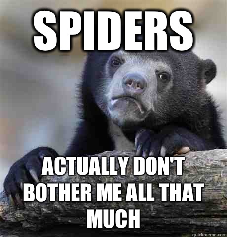 Spiders Actually don't bother me all that much - Spiders Actually don't bother me all that much  Confession Bear