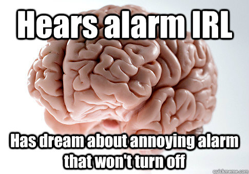 Hears alarm IRL Has dream about annoying alarm that won't turn off  Scumbag Brain