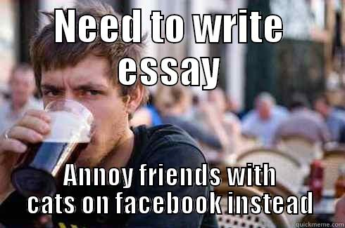 NEED TO WRITE ESSAY ANNOY FRIENDS WITH CATS ON FACEBOOK INSTEAD Lazy College Senior