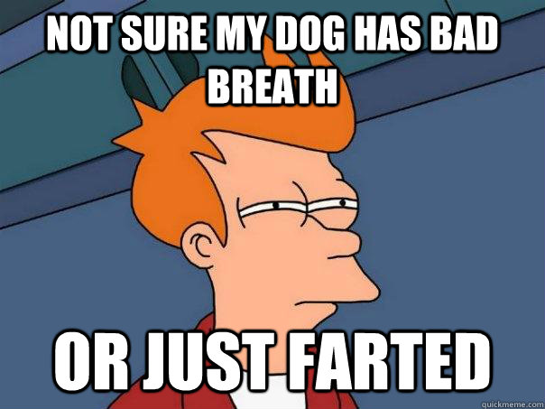 Not sure my dog has bad breath Or just farted - Not sure my dog has bad breath Or just farted  Futurama Fry