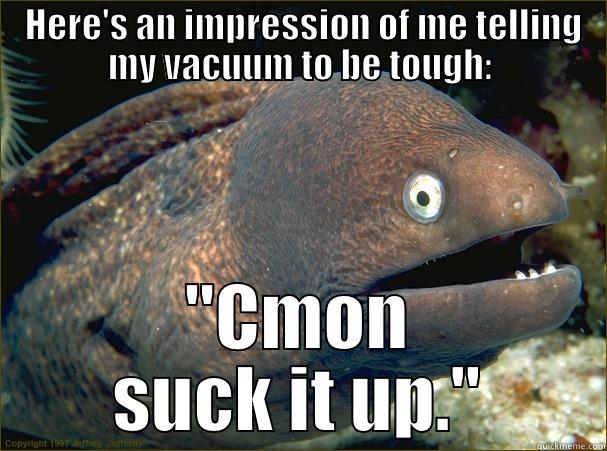  HERE'S AN IMPRESSION OF ME TELLING MY VACUUM TO BE TOUGH: 