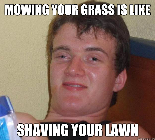 Mowing your grass is like shaving your lawn  10 Guy