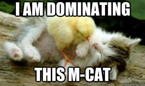 I AM Dominating THIS M-CAT  