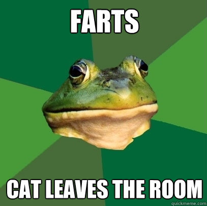 Farts Cat leaves the room  Foul Bachelor Frog