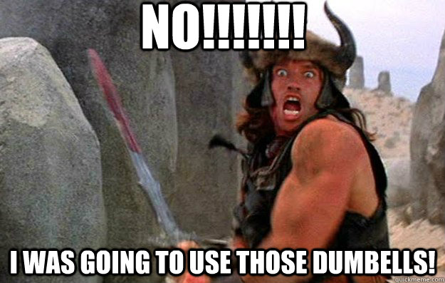 no!!!!!!! I was going to use those dumbells! - no!!!!!!! I was going to use those dumbells!  Conan