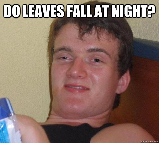 Do leaves fall at night?   10 Guy