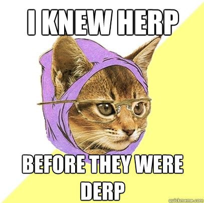 i knew herp before they were derp  Hipster Kitty