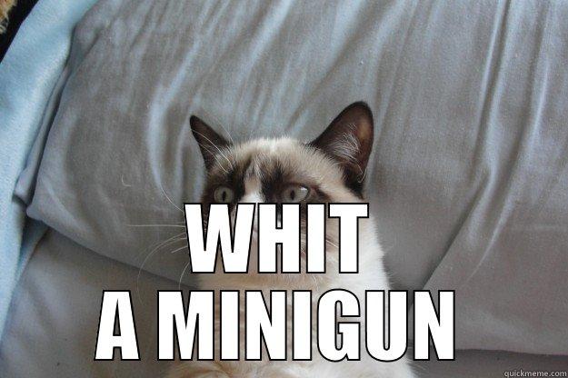  WHIT A MINIGUN Grumpy Cat