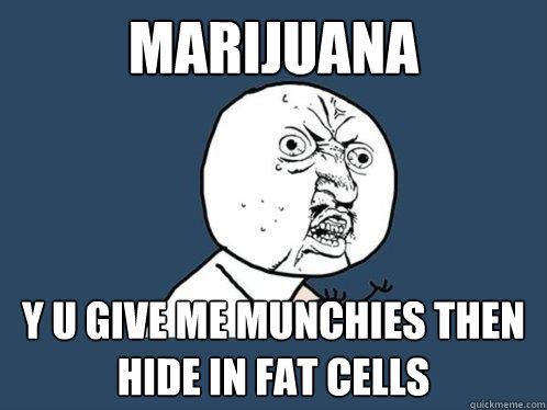 MARIJUANA y u give me munchies then hide in fat cells  