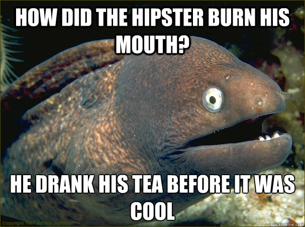 How did the hipster burn his mouth? he drank his tea before it was cool  Bad Joke Eel