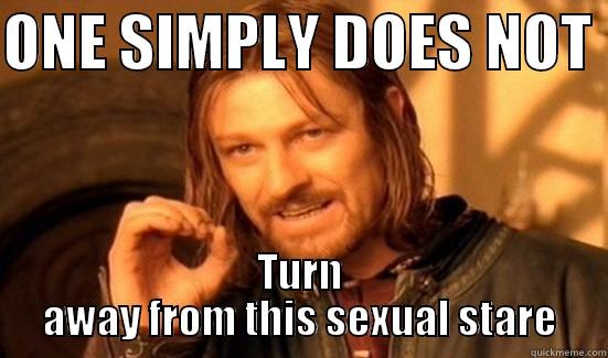 ONE SIMPLY DOES NOT  TURN AWAY FROM THIS SEXUAL STARE Boromir