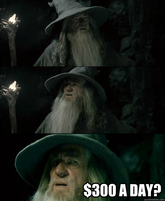  $300 a day? -  $300 a day?  No memory Gandalf