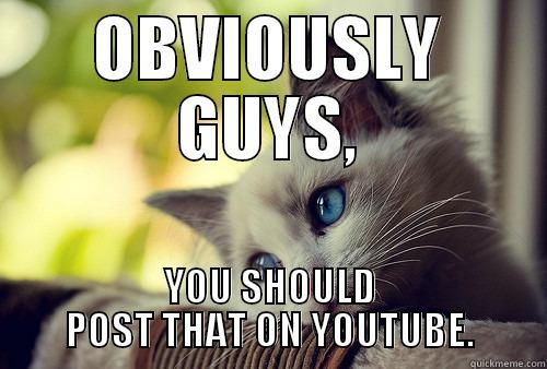 OBVIOUSLY GUYS, YOU SHOULD POST THAT ON YOUTUBE. First World Problems Cat